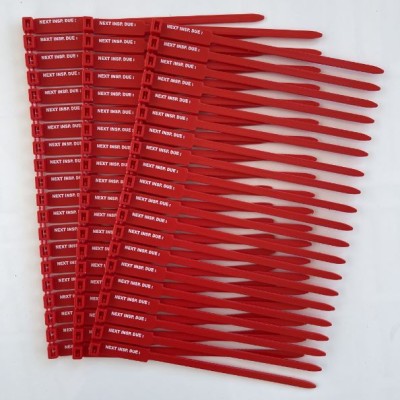 Next Inspection Due Tags, Red 175mm RigTag 100 pack