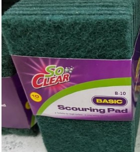 BASIC SCOURING PAD