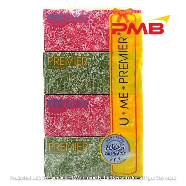 PREMIER FACIAL TISSUE, 170'SX4