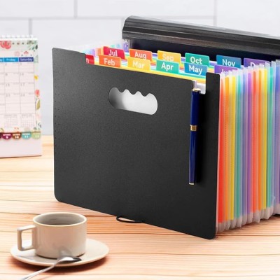 Expanding File Folder Color Insert Multi-layer File Organ Bag 12 Pockets