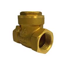 BRASS NON RETURN SWING CHECK VALVE, 1" (DELIVERY TO LABUAN AREA ONLY)