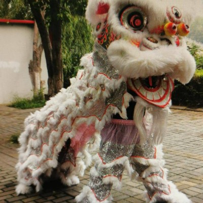 Lion Dance Set