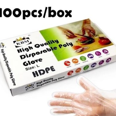 DISPOSAL PLASTIC HANDGLOVE (L)