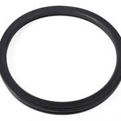 Dexter Door Glass Gasket