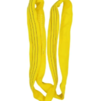 POLY-TEX Polyester Round Sling SF6 3T x 4M EL Yellow (With Test Certificate & Tag)