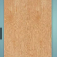 Plywood Door 2200mm x 1000mm