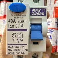 MAXGUARD ELCB 100MA 2POLE 40A