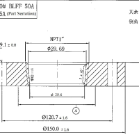 2inch 150# Blind Flange, 1inch NPT, F316|316L Stainless Steel, ANSI
