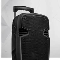 Portable Trolley Speaker Amplifier Karaoke + 2 Wireless Mic