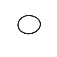 Sentry RC-100 O-ring seal 4-04820C