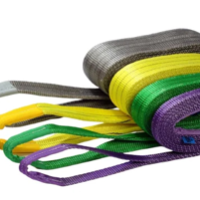 Webbing Lifting Sling Belt 2Ton