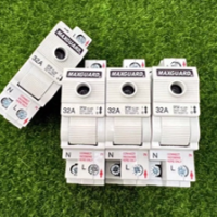 Maxguard 32A Main Switch (1 pole + Neutral) with Switch Fuse