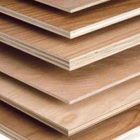 Plywood 4ft X 8ft X 9.5mm (1219mm X 2438mm X 9.5mm)