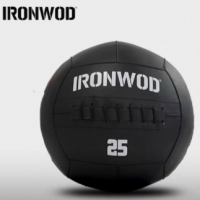 Wall Ball Ironwod 25lb