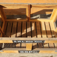 Custom made Wooden Pallet Box,  Dimension: 1.18 x 0.74 x 0.60m
