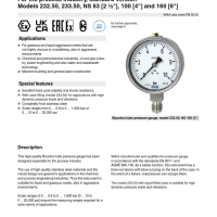 WIKA Bourdon Tube Pressure Gauge, Stainless Steel Series (DDP MIRI)
