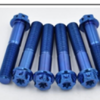 ASTM A320 L7M 12 POINT BOLT (XYLAN 1424 BLUE)(HALF THREAD) Size : 1 1 4"-8UN x 165 MM