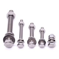 Hex Head Bolt c.w Nut & Washers, M12 x 40 mm LG, SS316, Full Threaded