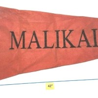 Windsock, 17'' x 7'', Safemed S109