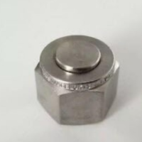 Swagelok SS-810-P, 316 Stainless Steel Plug for 1 2 in. Swagelok Tube Fitting