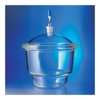 PYREX Replacement 24 29 Stopcock with Hose Connector