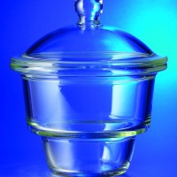 DESICCATOR 250MM 1 CS